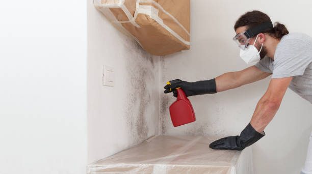 Professional Commercial Mold Remediation technician working in Marshall, MI