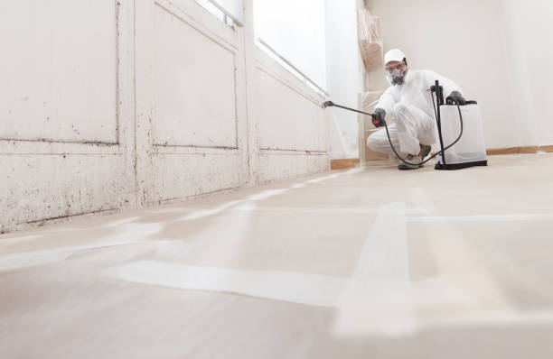 24/7 Emergency Commercial Mold Remediation experts in Marshall, MI