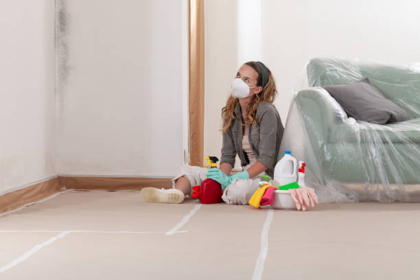 Reliable Commercial Mold Remediation contractor in Marshall, MI by Car Mold Remediation
